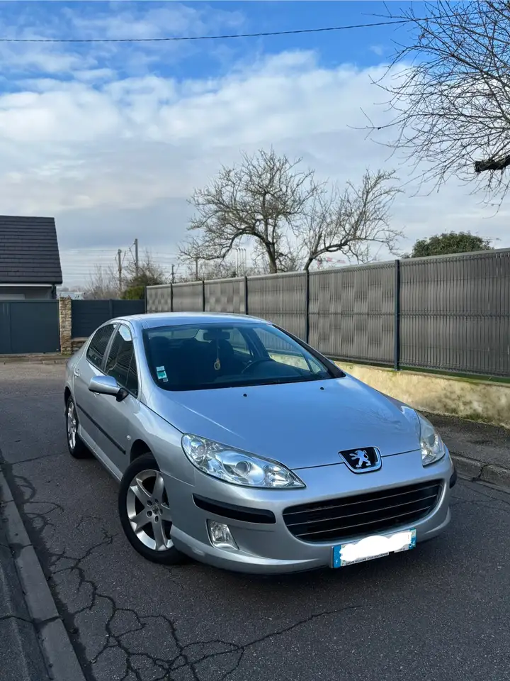Peugeot 407 SW 1.6 HDi 16V 110ch FAP Confort Pack