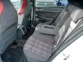 Volkswagen Golf GTI Golf VIII GTI 2.0TSI DSG Black Cam Navi ACC AppC Weiß - thumbnail 11