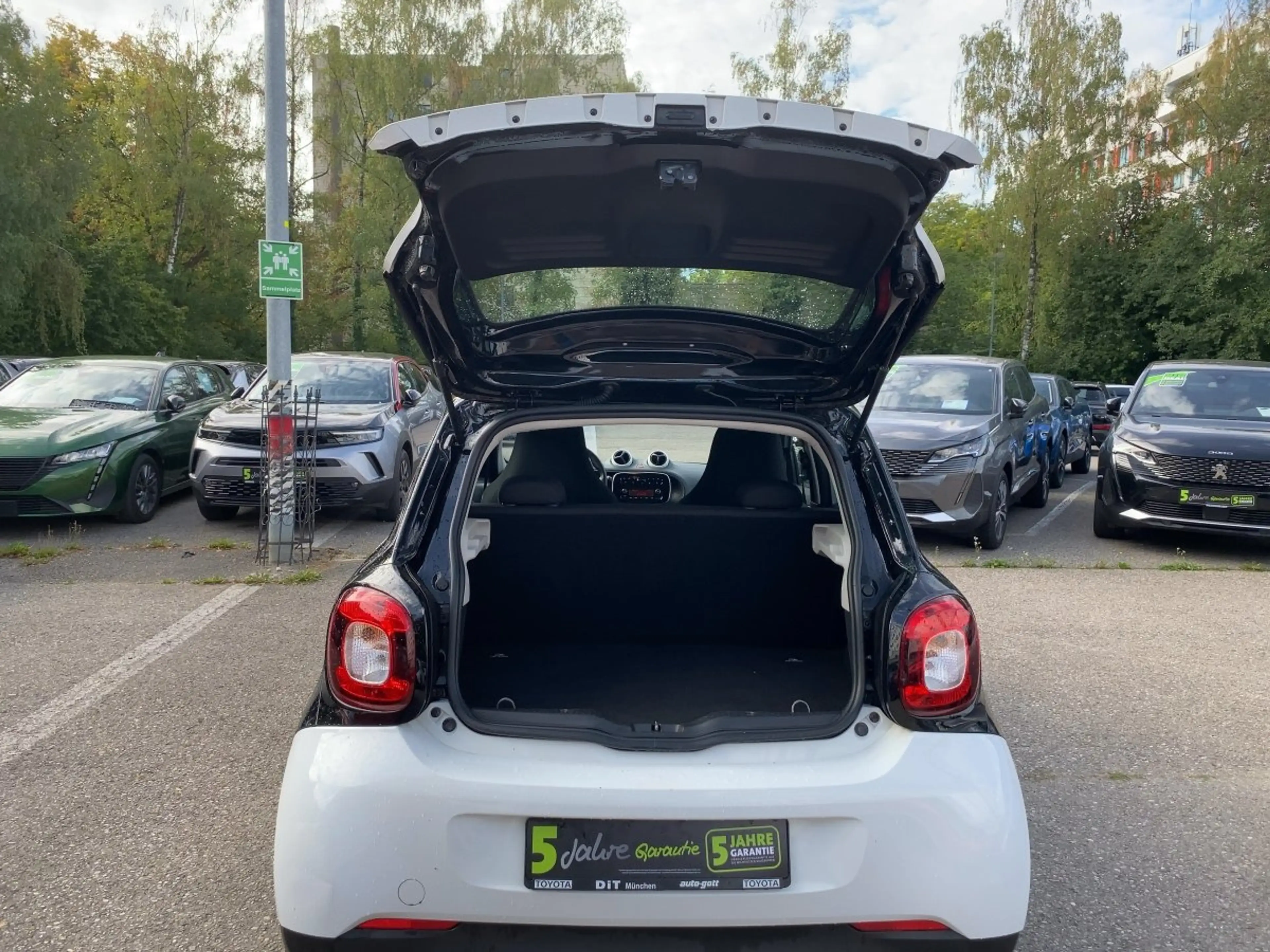 smart forFour 1.0 — photo 11