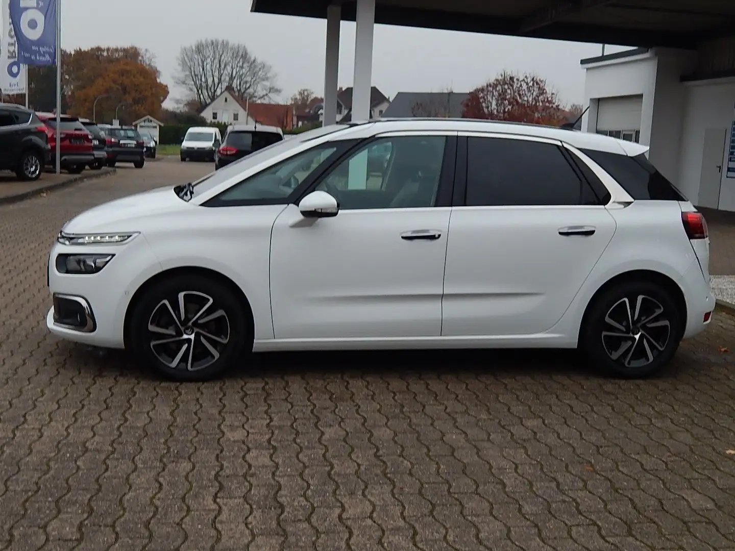 Citroen C4 Picasso /Spacetourer Shine Blanc - 2