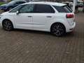 Citroen C4 Picasso /Spacetourer Shine Weiß - thumbnail 3