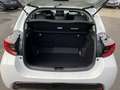 Mazda 2 Hybrid Agile, Comfort-P, Safety-P, 6 Jahre Gar Blanc - thumbnail 6