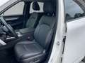 Mazda CX-60 Homura 360° Kamera Navi Matrix-LED Weiß - thumbnail 14