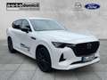 Mazda CX-60 Homura 360° Kamera Navi Matrix-LED Weiß - thumbnail 1