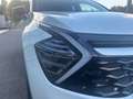 Kia Sportage Sportage V 2022 1.6 tgdi hev GT-line Plus awd auto Blanco - thumbnail 7