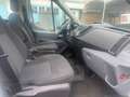 Ford Transit Bus 460 L4 (HDT) Trend White - thumbnail 4