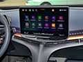 CUPRA Tavascan VZ 4Drive 250 kW 340PS Elektro AHK Beige - thumbnail 7
