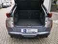 CUPRA Tavascan VZ 4Drive 250 kW 340PS Elektro AHK Beige - thumbnail 14