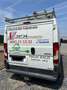 Peugeot Boxer 2,200 cc 82 Chevaux Blanc H1 L1 Blanc - thumbnail 4