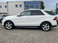 Mercedes-Benz GLE 250 GLE 250 d 4Matic*360*KAMERA*LED*VOLLLEDER*GARANTIE Blanc - thumbnail 7