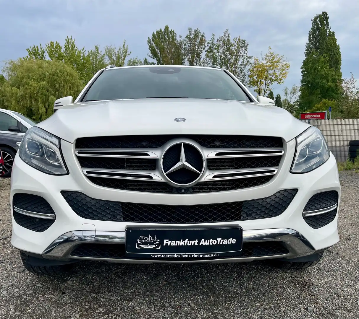 Mercedes-Benz GLE 250 GLE 250 d 4Matic*360*KAMERA*LED*VOLLLEDER*GARANTIE Blanc - 2