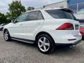 Mercedes-Benz GLE 250 GLE 250 d 4Matic*360*KAMERA*LED*VOLLLEDER*GARANTIE Blanc - thumbnail 6