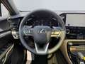 Lexus NX 350h E-FOUR Overtrail *LED*Pano*360*HUD*Navi* Beige - thumbnail 12