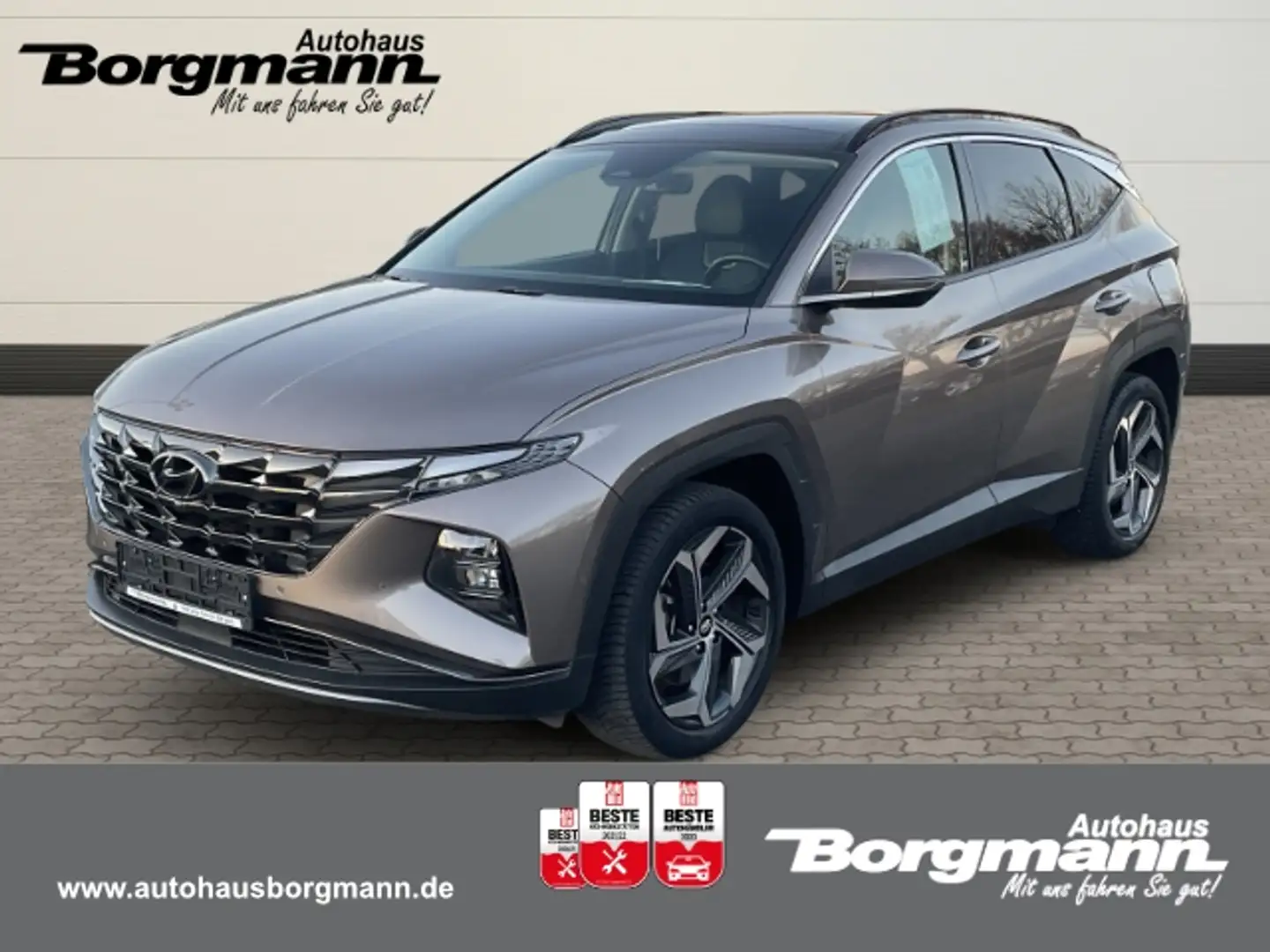 Hyundai TUCSON Prime Hybrid 1.6 Allwetter - Apple CarPlay - Rückf Bronze - 1