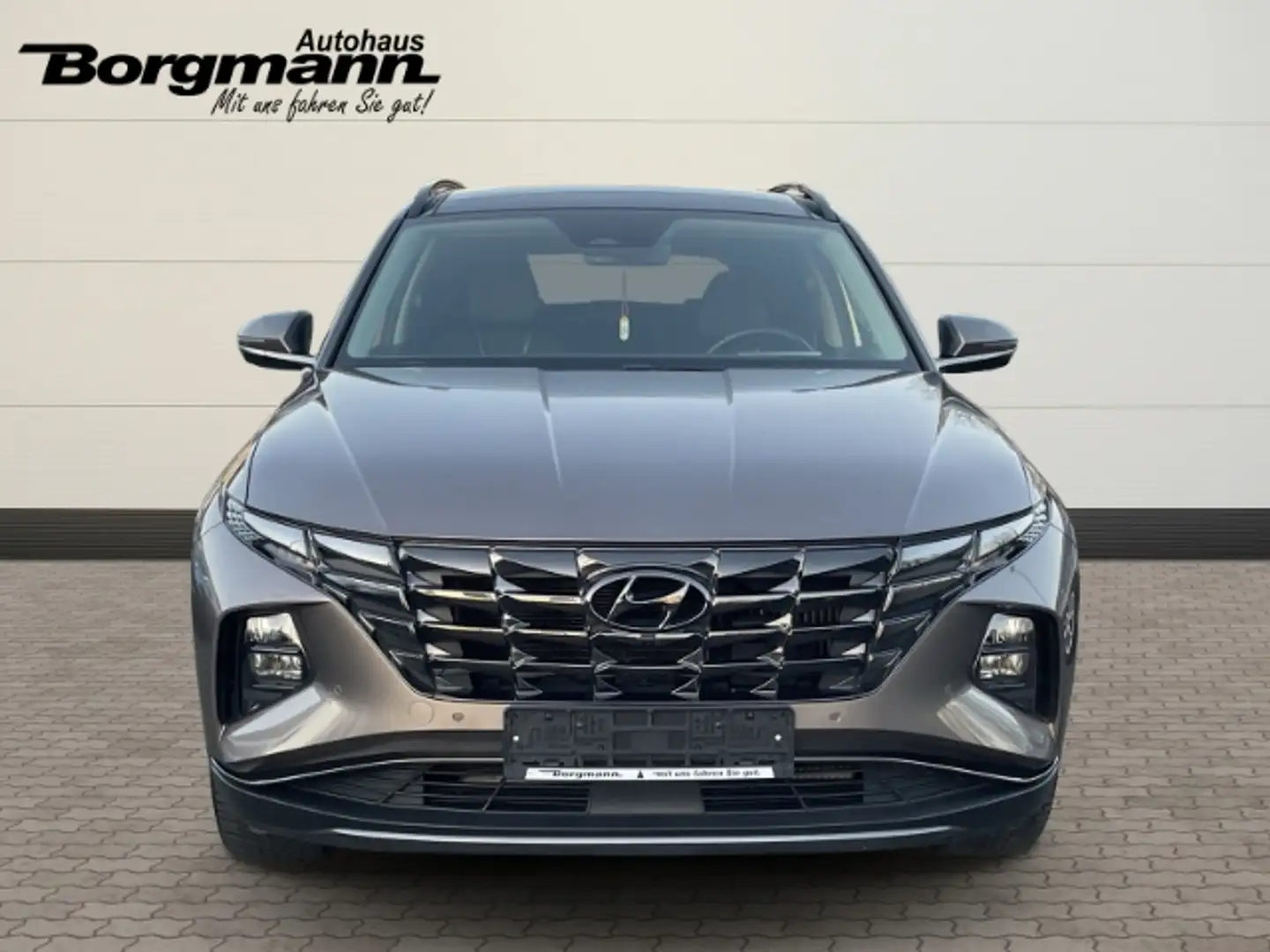 Hyundai TUCSON Prime Hybrid 1.6 Allwetter - Apple CarPlay - Rückf Bronze - 2