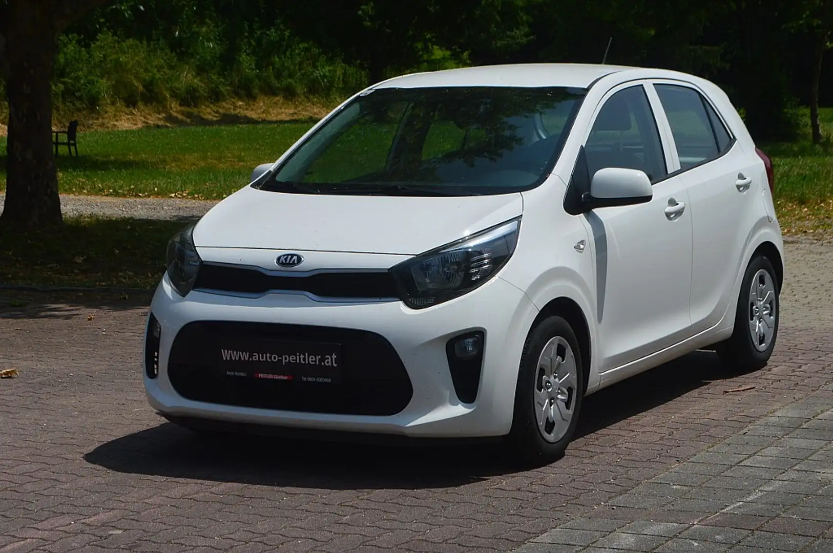 Kia Picanto 1,0 MPI+Klima+SHZ+ Weiß - 2