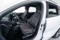 Ford Kuga 2.5 Duratec PHEV ST-Line 4x2 Blanc - thumbnail 13