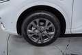 Ford Kuga 2.5 Duratec PHEV ST-Line 4x2 Blanc - thumbnail 11