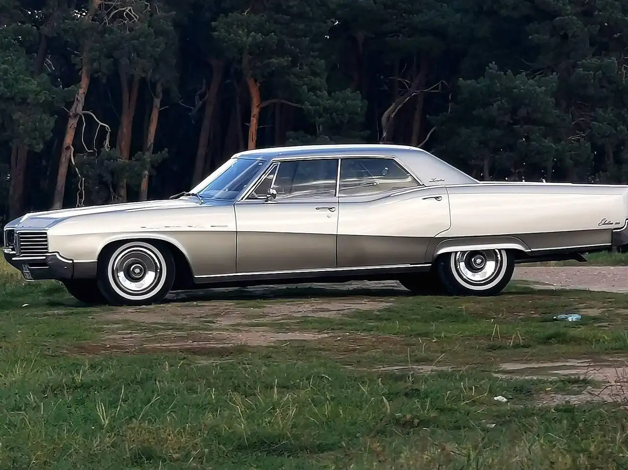 Buick Electra Hardtop Coupe, foto 4