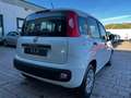 Fiat New Panda 1.3 mjt 95cv S&S Easy Fehér - thumbnail 5