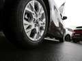 Kia Ceed / cee'd Ceed 1.5T DCT Vision Navi Kamera Komfort-Paket - thumbnail 5
