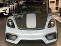 Porsche Boxster 718 Boxster Spyder RS GT4 Weissach NP:205000€ Gris - thumbnail 33