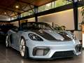 Porsche Boxster 718 Boxster Spyder RS GT4 Weissach NP:205000€ Gris - thumbnail 32
