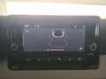 SEAT Arona 1.0 TSI S&S Reference XM 95 Rojo - thumbnail 13