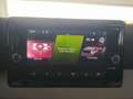 SEAT Arona 1.0 TSI S&S Reference XM 95 Roşu - thumbnail 14