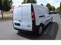 Renault Kangoo Maxi 1,5 dCi Kühlfahrzeug Fa. Winter Weiß - thumbnail 14