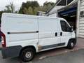 Fiat Ducato 120 multi jet - thumbnail 3