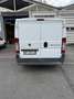 Fiat Ducato 120 multi jet - thumbnail 2