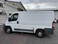 Fiat Ducato 120 multi jet - thumbnail 1