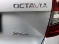 Skoda Octavia Combi 2,0 Style Limited TDI 4x4 DSG Silber - thumbnail 28