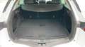 Renault IV 1.5 dCi 110 EDC Intens Alb - thumbnail 14