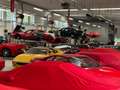 Ferrari Purosangue Da Paolo Tramonti leggere bene LA DESCRIZIONE - thumbnail 1