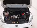 Ford Fiesta Business 1.5 Diesel 86CV Bianco - thumbnail 13