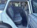 Nissan X-Trail N-Connecta 1.5 VC-T e-Power °BF°HUD°RFK° Weiß - thumbnail 24