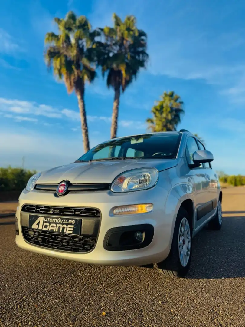 Fiat Panda 1.2 City Cross 4x2 Gris - 2
