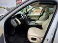 Land Rover Range Rover Sport 3.0 sdV6 HSE Dynamic 292cv auto - thumbnail 9