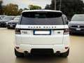 Land Rover Range Rover Sport 3.0 sdV6 HSE Dynamic 292cv auto - thumbnail 8