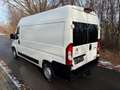 Citroen Jumper L2H2 PROLINE BlueHDi wenig KM Weiß - thumbnail 4