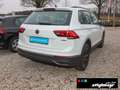 Volkswagen Tiguan Life 4Motion 2.0 TSI DSG +Pano+Standheizung+AHK Blanc - thumbnail 4