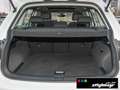 Volkswagen Tiguan Life 4Motion 2.0 TSI DSG +Pano+Standheizung+AHK Blanc - thumbnail 11