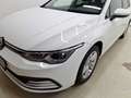 Volkswagen Golf Life 1.5 TSI Weiß - thumbnail 23