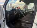 Peugeot Boxer L1H1 Pro BlueHDi 120 Stop&Start/Kühlkastenwagen Blanc - thumbnail 9