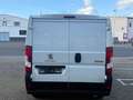 Peugeot Boxer L1H1 Pro BlueHDi 120 Stop&Start/Kühlkastenwagen Blanc - thumbnail 5