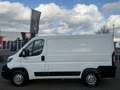 Peugeot Boxer L1H1 Pro BlueHDi 120 Stop&Start/Kühlkastenwagen Blanc - thumbnail 3