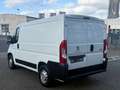 Peugeot Boxer L1H1 Pro BlueHDi 120 Stop&Start/Kühlkastenwagen Blanc - thumbnail 4