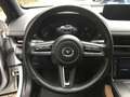 Mazda MX-30 ADVANTAGE 145PS 3-Phasiges Laden MC Blanc - thumbnail 11